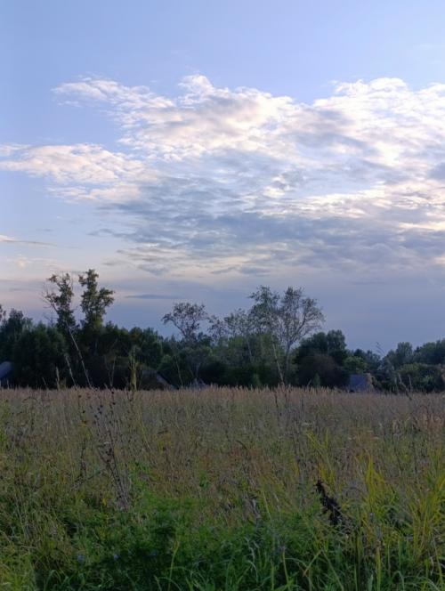 Быстро последние денёчки этого лета пролетают. 06