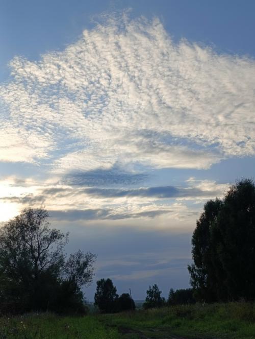 Быстро последние денёчки этого лета пролетают. 05