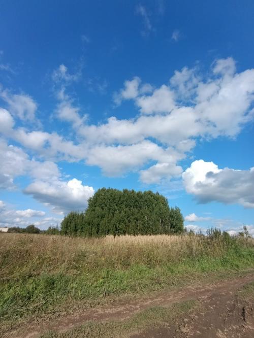 Быстро последние денёчки этого лета пролетают. 02