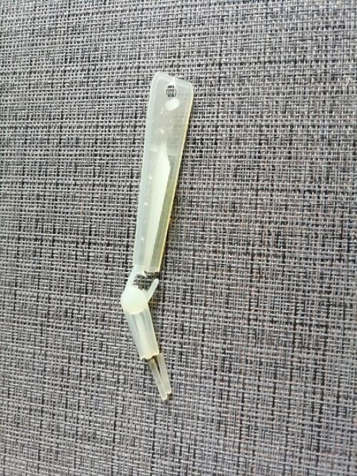 У меня появилась ещё одна зеленоглазая Вероника. 05