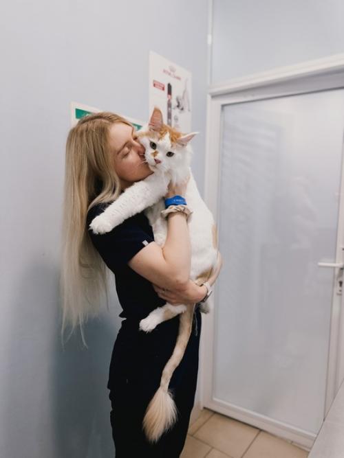 Мейн - кун кумарин, питомец нашего онколога малюковой Дарьи, очаровал всех. 08