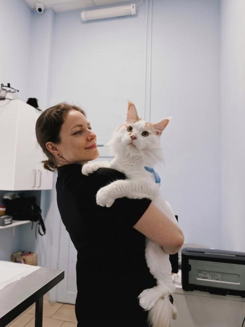 Мейн - кун кумарин, питомец нашего онколога малюковой Дарьи, очаровал всех. 05