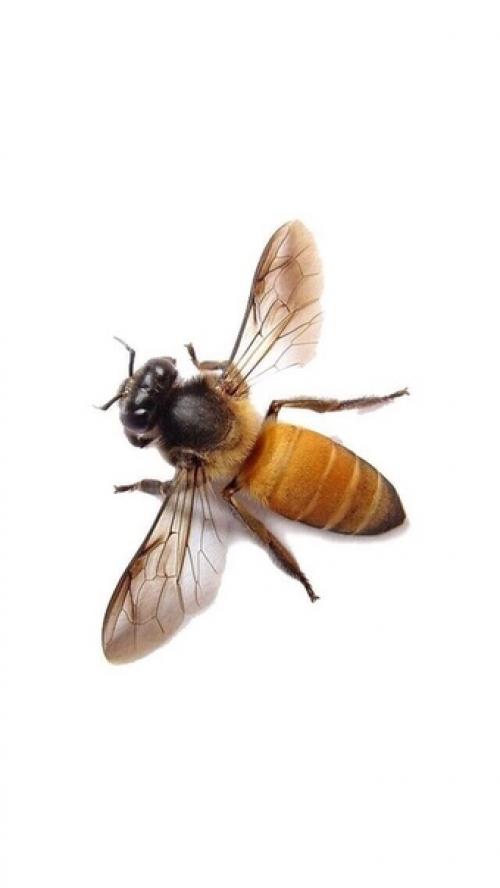 31days\_Jinyoung_Challenge d - 10 AND 11. 01 31days\_Jinyoung_Challenge d - 10 AND 11. 01