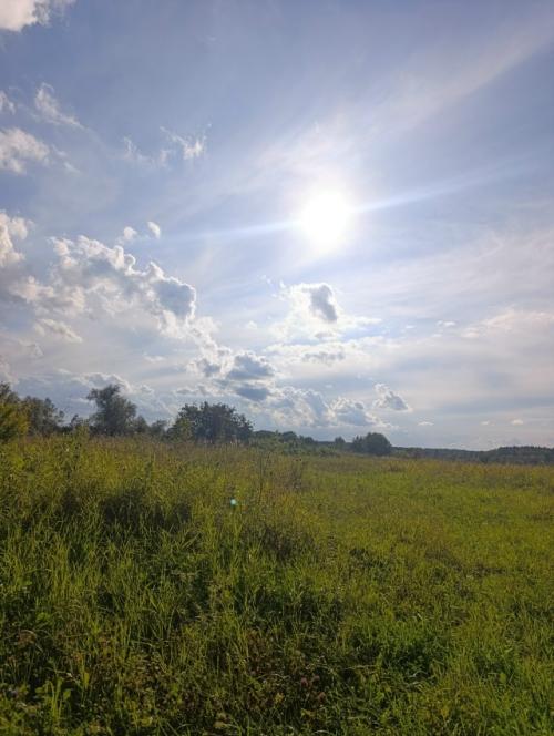 Быстро последние денёчки этого лета пролетают. 03