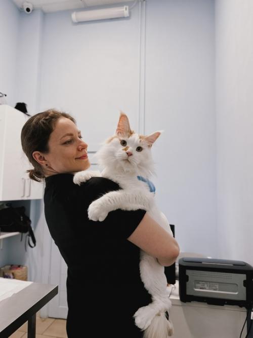 Мейн - кун кумарин, питомец нашего онколога малюковой Дарьи, очаровал всех. 04