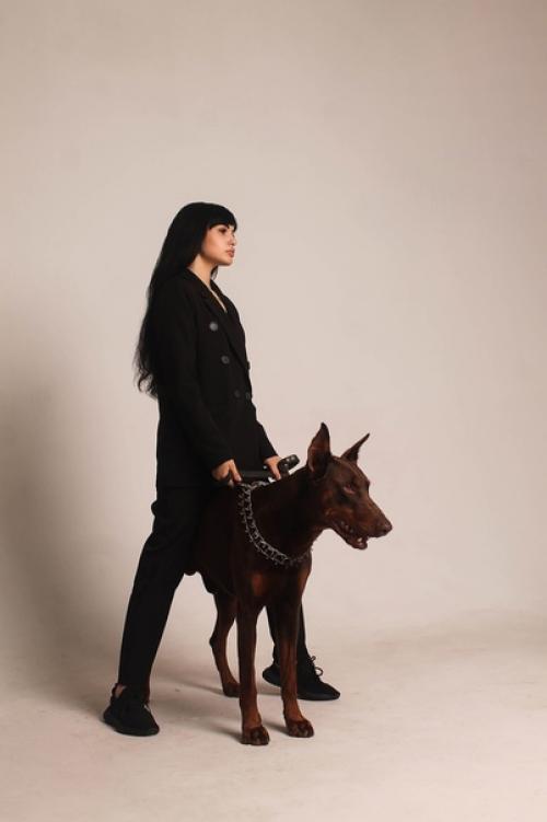 19 сентября. Фото - проект с доберманом. 02