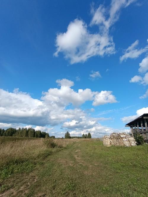 Быстро последние денёчки этого лета пролетают. 04