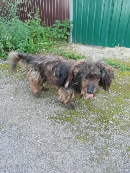 В добрые руки. 01 В добрые руки. 01