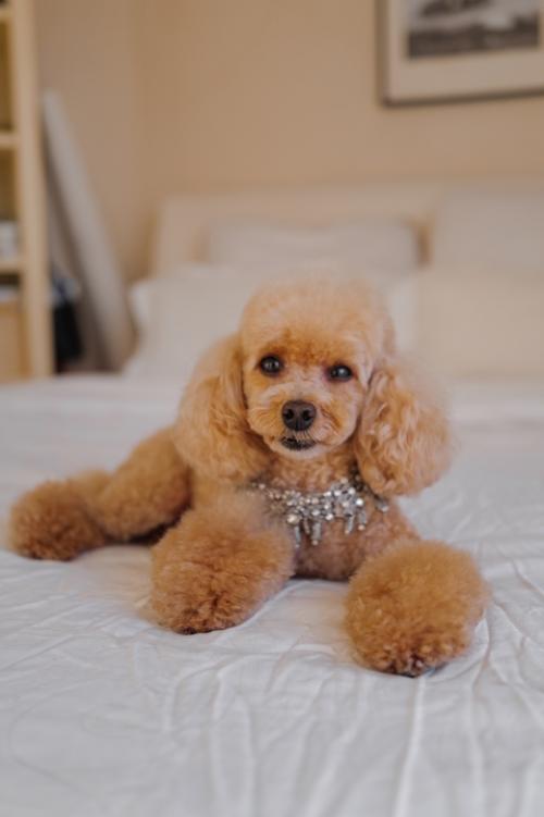 Вот это новости! 01