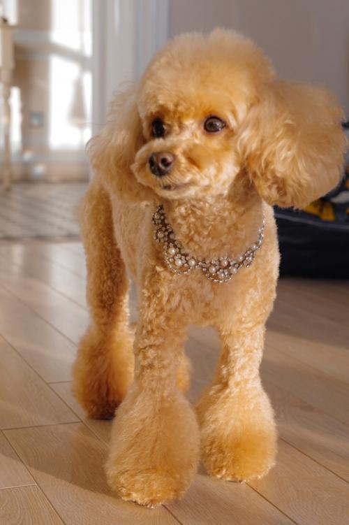 Вот это новости! 02