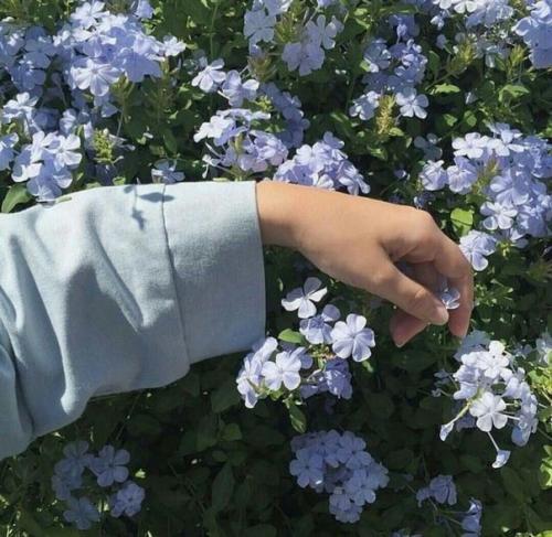 Несколько шагов к отличной внешности. 01 Несколько шагов к отличной внешности. 01