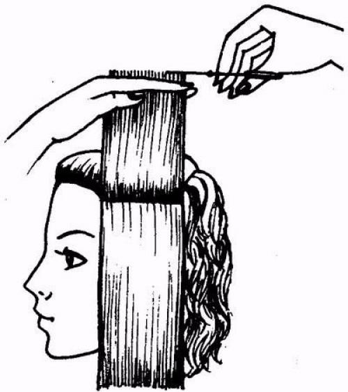 Как подравнивать волосы схема
