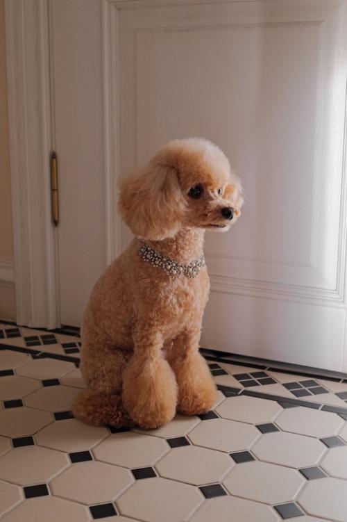 Вот это новости! 05