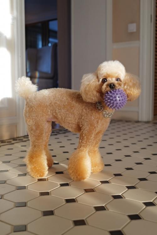 Вот это новости! 04