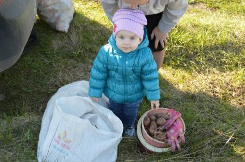 Тренд показать мой 2016 г. 02