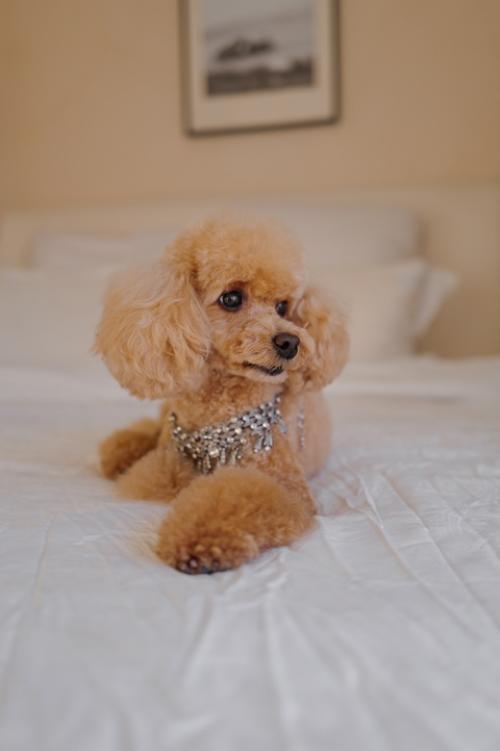 Вот это новости! 03