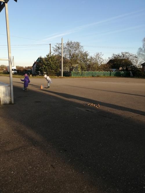 Этот продукт мы хорошо знаем и употребляем практически каждый день, но не все задумываются какова его родина и кто его привез в Россию? 01