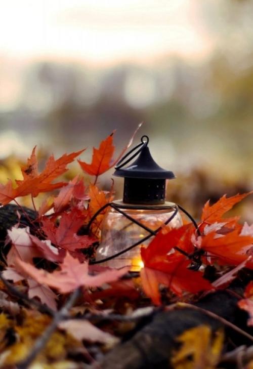 Равноправие. Повторяя слова психолога Сергея Петрушина про мужчин и женщин, скажу: мы не равные, мы - разные. 01 Равноправие. Повторяя слова психолога Сергея Петрушина про мужчин и женщин, скажу: мы не равные, мы - разные. 01