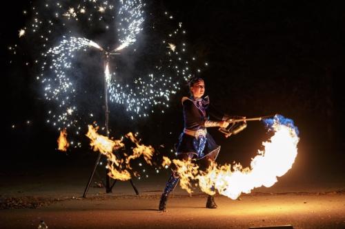 Царица ночи. Когда-то в далеком детстве бабушка рассказывала мне, как в молодости играла в театре царицу ночи. 03