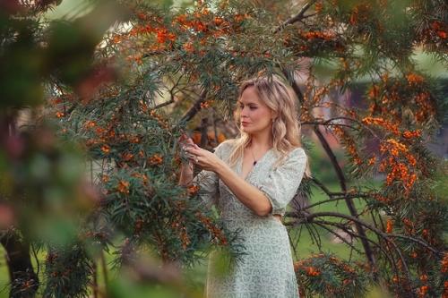 Облепиха - любимейшая осенняя ягода …. 03