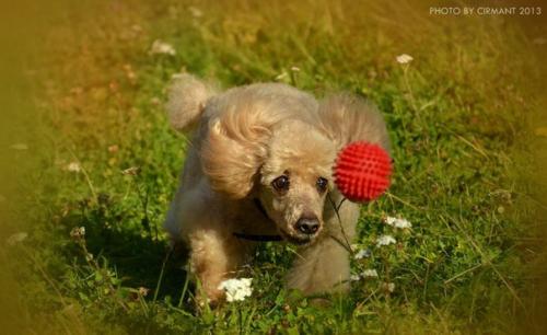 Рубрика Малыши - Карандаши. 01