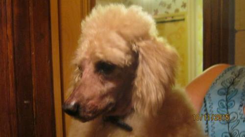 Рубрика Малыши - Карандаши. 03