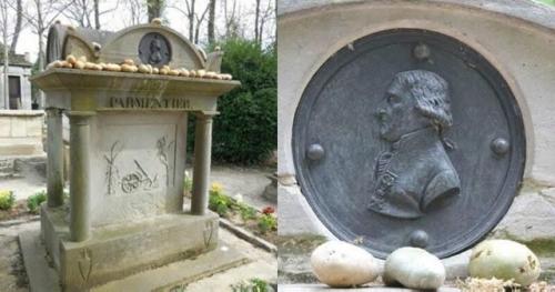 Французский военврач и картошка. 02 Французский военврач и картошка. 02