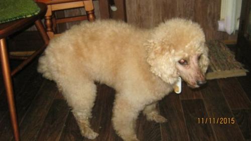 Рубрика Малыши - Карандаши. 02