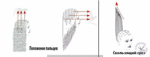 Прогрессивные формы стрижек: 02