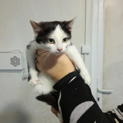 Деревенская братва - 2. 01