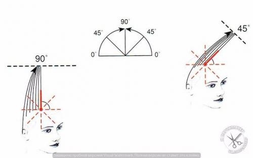 Прогрессивные формы стрижек: 03