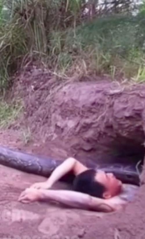 Ужасающая реальность: жизнь под угрозой в дикой природе. 01