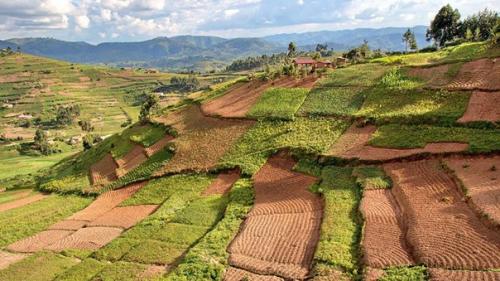 Лузирский Человек и норы смерти. 01 Лузирский Человек и норы смерти. 01