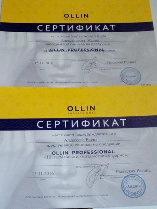 Семинар от ОLLIN Professional Шагаем Вместе, от Геометрии к Форме. 09