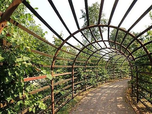 А вы уже модное берсо на своем участке построили? 02 А вы уже модное берсо на своем участке построили? 02