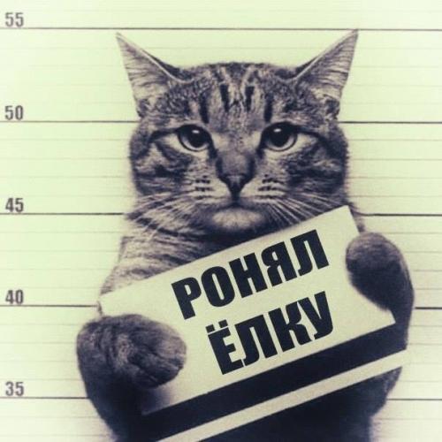 В 2019 году я сфотографировалась на удостоверение многодетной семьи. 01