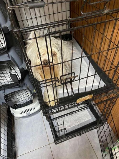 Новости. Вы просили - мы сделали! 01