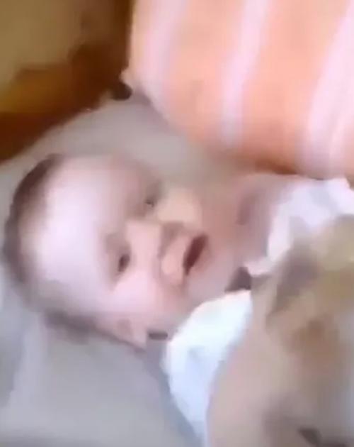 Девушка родила ребенка, которого считает вундеркиндом и который прославился благодаря своим способностям. 01