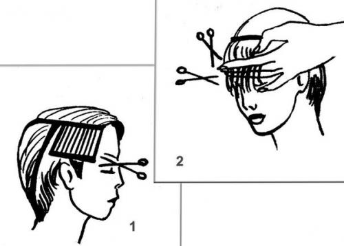 Урок деления волос по радиусам - стрижки с короткой макушкой. 01