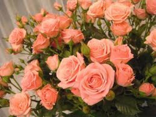 Что красит женщину так сильно? 03