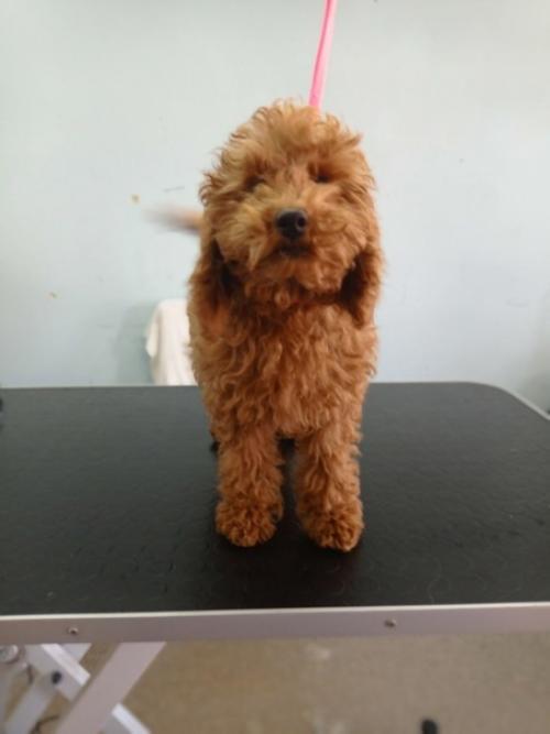 Как вам преображение? 02