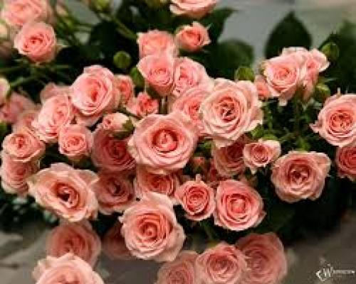 Что красит женщину так сильно? 05