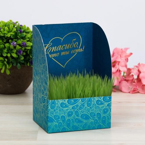 Травянчик это веселый сувенир для детей и взрослых, изготовленный вручную, из которого прорастает газонная трава. 07