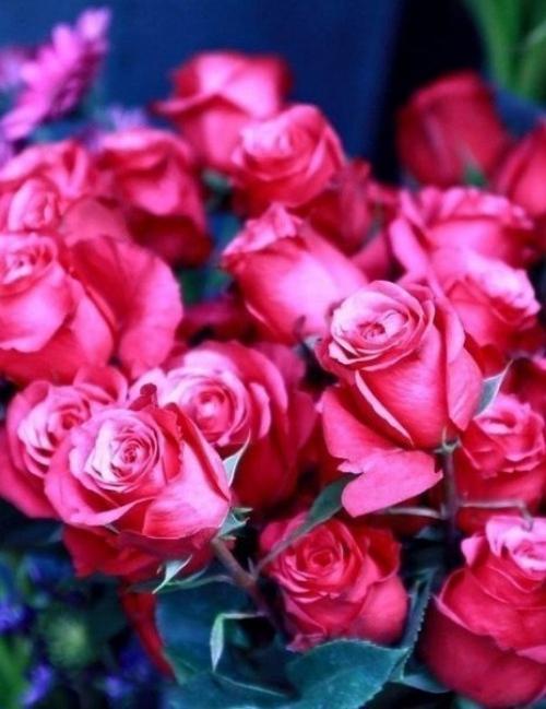 Что красит женщину так сильно? 02