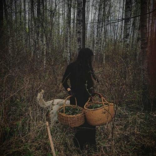 Волосы и гребень. 05 Волосы и гребень. 05