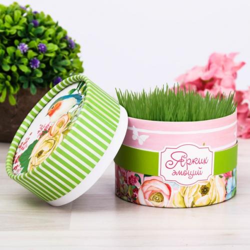 Травянчик это веселый сувенир для детей и взрослых, изготовленный вручную, из которого прорастает газонная трава. 08