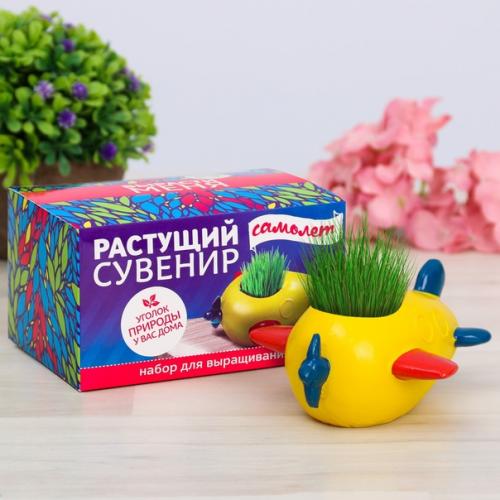 Травянчик это веселый сувенир для детей и взрослых, изготовленный вручную, из которого прорастает газонная трава. 09