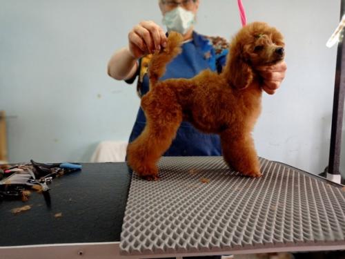 Как вам преображение? 01