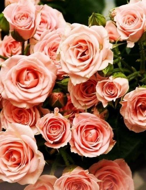 Что красит женщину так сильно? 01