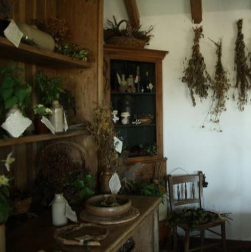 Волосы и гребень. 04 Волосы и гребень. 04